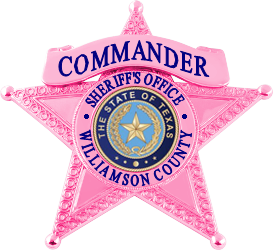 Williamson County Sheriff's Office Breast Cancer Awareness Badge ...