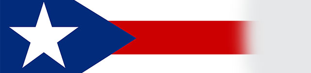 PUERTO RICO BADGES