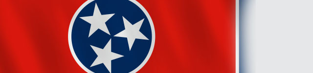 TENNESSEE STATE BADGES