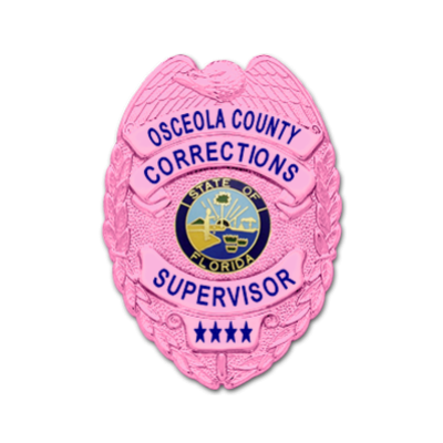 Osceola County Corrections Pink Badge