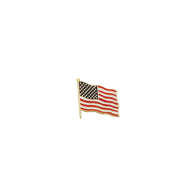 C524 American Flag Pin