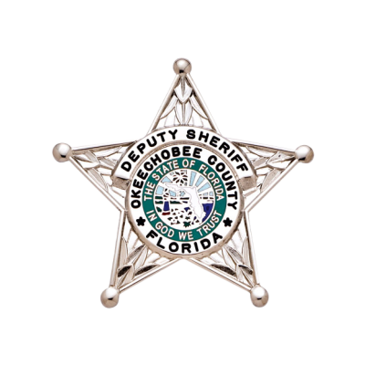 Florida Deputy Sheriff Star Badge in Green