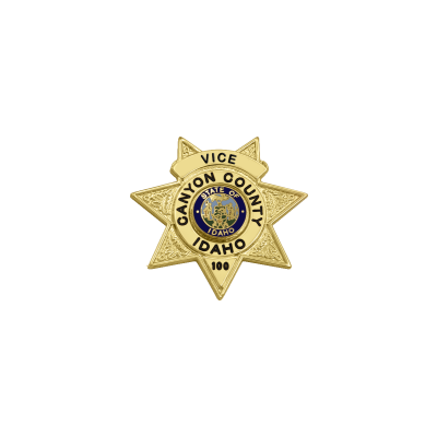 7 Point Star Custom Badge S249C
