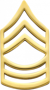 E527 Sergeant Collar Chevrons