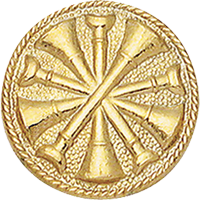 Chief Collar Insignia